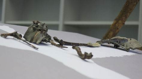 Paleontólogos argentinos presentan el aparato fonador de ave más antiguo