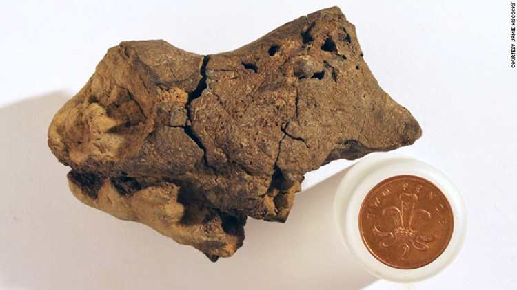 Encuentran el primer cerebro de dinosaurio fosilizado