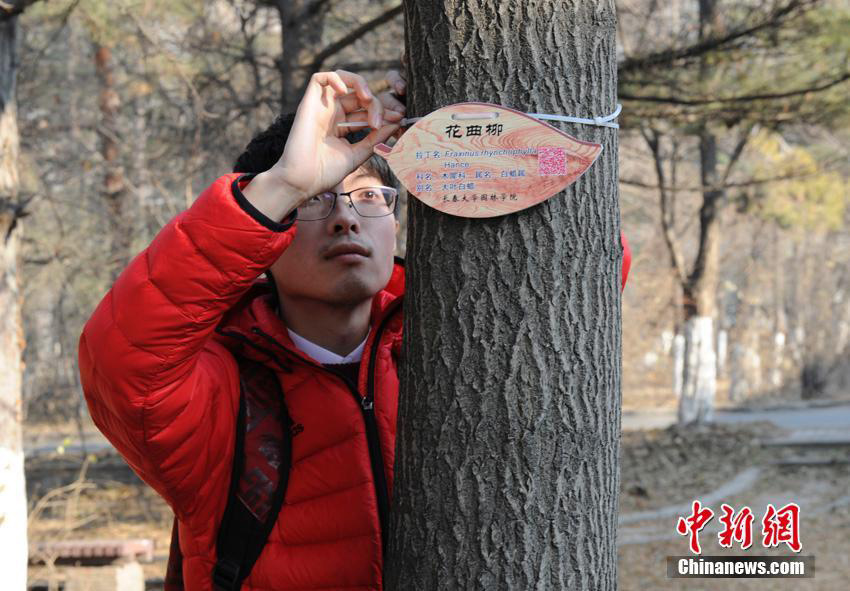 Universidad de Changchun cataloga sus árboles con tarjetas de identificación