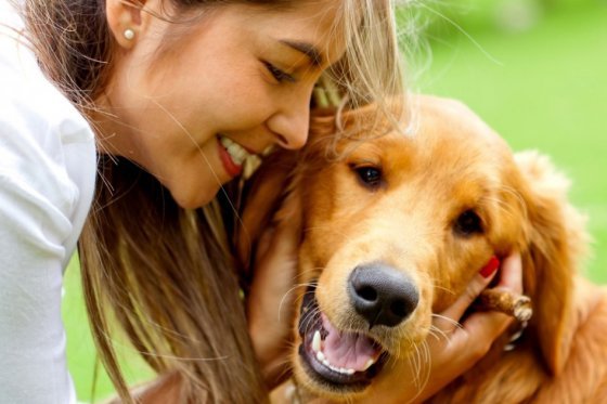 Estudio confirma que los perros se acuerdan de lo que hacen sus dueños