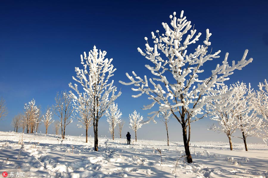 La nieve convierte pueblo de Heilongjiang en un cuento de hadas
