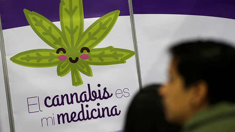 El Senado mexicano aprueba el uso medicinal de la marihuana