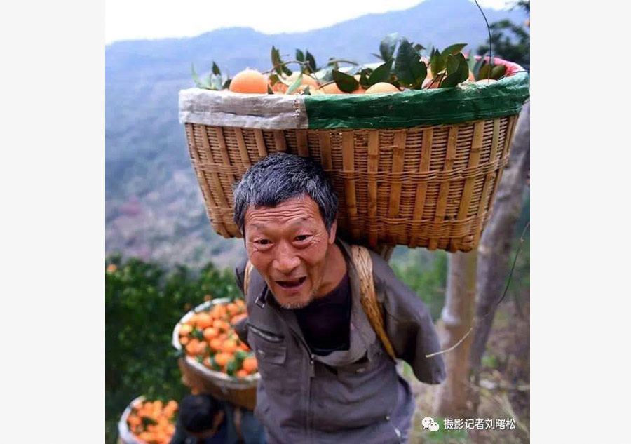 Hu Xueman, que perdió ambos brazos, lleva una cesta de naranjas en la espalda. [Foto de Liu Shusong / para chinadaily.com.cn]