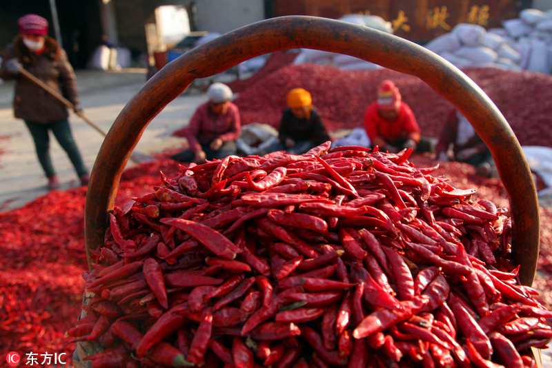La cosecha de la pimienta tiñe de rojo a Shanxi