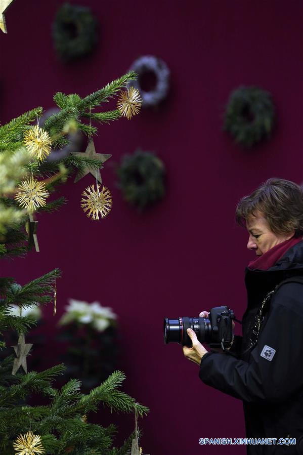 - Una mujer visita la exposición de Navidad en el Jardín de Palmeras en Frankfurt, Alemania, el 25 de diciembre de 2016. (Xinhua/Luo Huanhuan)