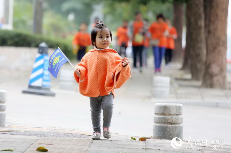 Pueblo en Línea convoca una excursión de 100 mil internautas en 40 ciudades para celebrar el Año Nuevo y su XX aniversario------la ciudad de Danzhou,en la provincia de Hainan