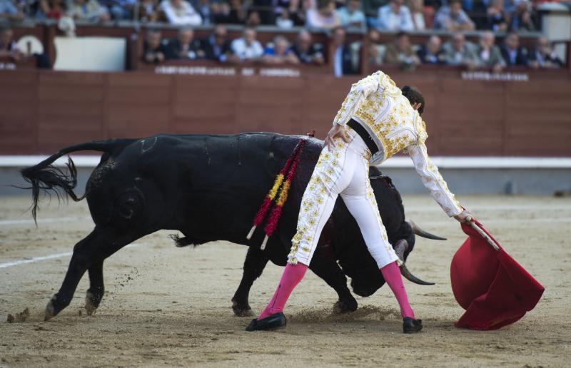 El Supremo dice que el toro no es 'símbolo oficial' de España