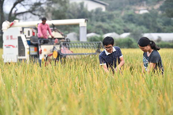 China alienta un nuevo impulso para la agricultura y el sector rural