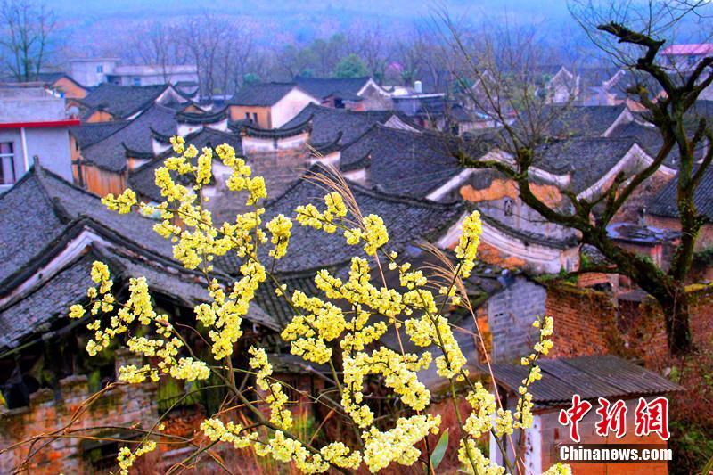 Descubren un conjunto de edificios antiguos en Hunan, China