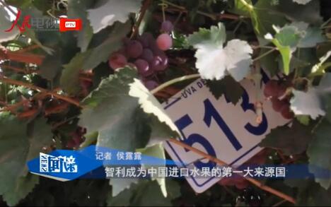 Chile se convierte en la principal huerta de frutas de China