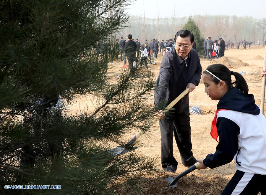 Presidente chino subraya importancia de reforestación y pide proteger a la naturaleza