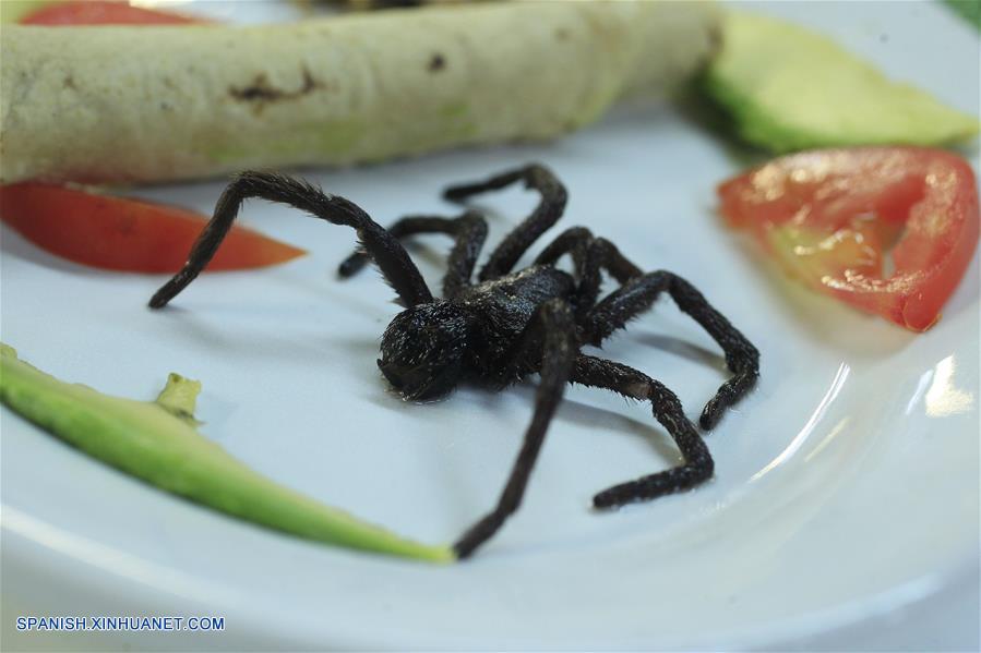 Imagen del 31 de marzo de 2017, de una tarántula servida como parte de un platillo en un restaurante en el Mercado de San Juan en la Ciudad de México, capital de México. De acuerdo con información de la prensa local, en el Mercado de San Juan, ubicado en el centro de la Ciudad de México, se sirven platillos preparados con tarántulas, escorpiones y más insectos. Los insectos, ricos en proteínas, formaban una parte importante de la dieta de los pobladores prehispánicos de México. (Xinhua/Str)