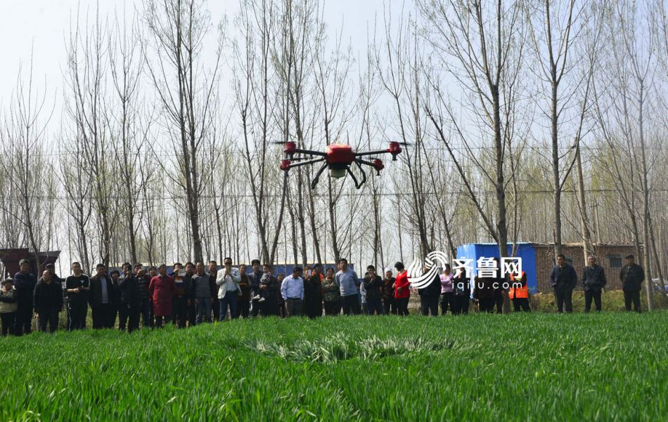 Vehículos aéreos no tripulados fumigan cultivos en Shandong