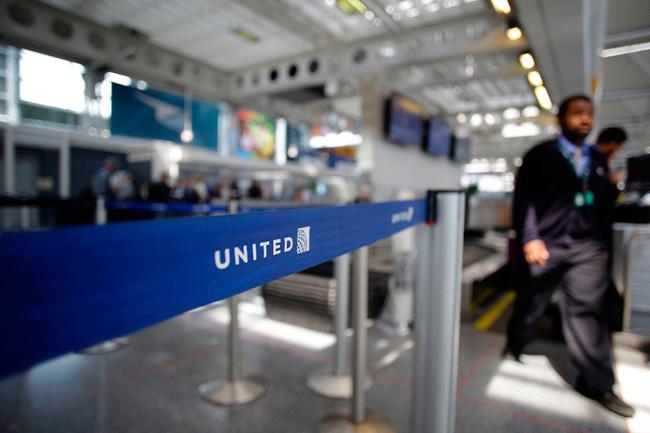 Muere un conejo gigante en vuelo de United Airlines