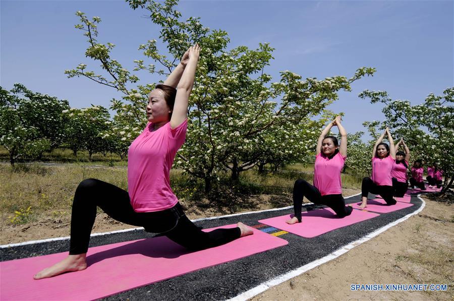 Mujeres practican yoga entre flores de espino
