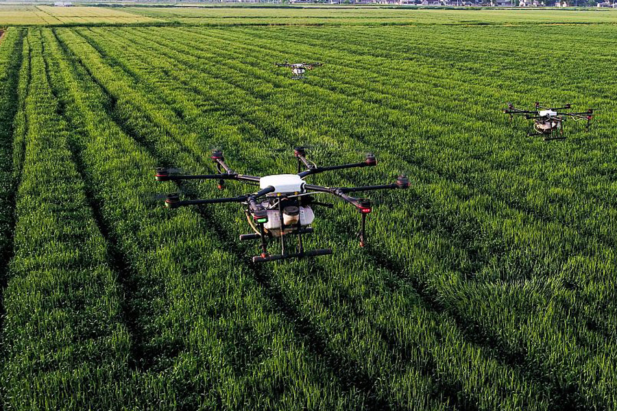 Los drones dirigen la agricultura inteligente