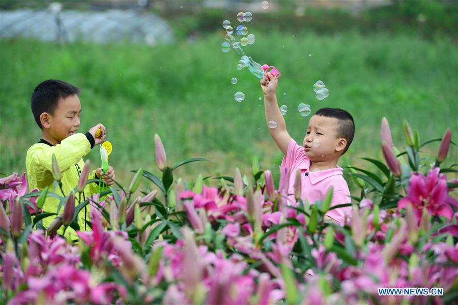 Niños juegan felices en el reino de los lirios de la aldea Wanghutun, en la provincia Guizhou, el 21 de mayo del 2017. (Foto: Yang Wenbin)