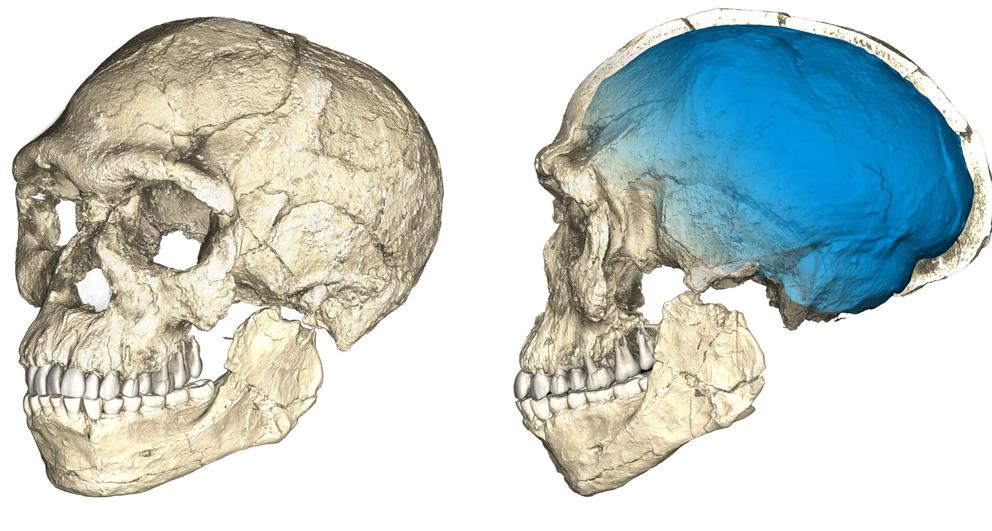Descubren los fósiles de los primeros ‘Homo sapiens’