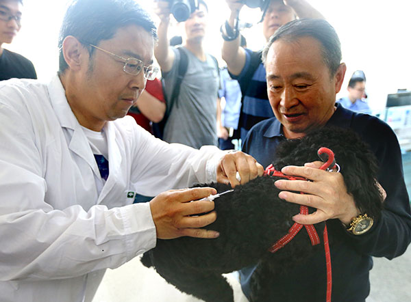 Qingdao adopta política de un solo perro y prohíbe las razas grandes