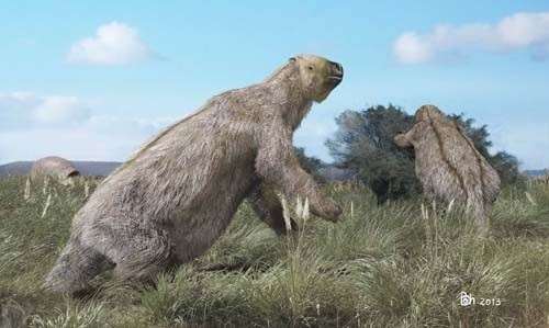 Paleontólogos descubren un nuevo oso perezoso