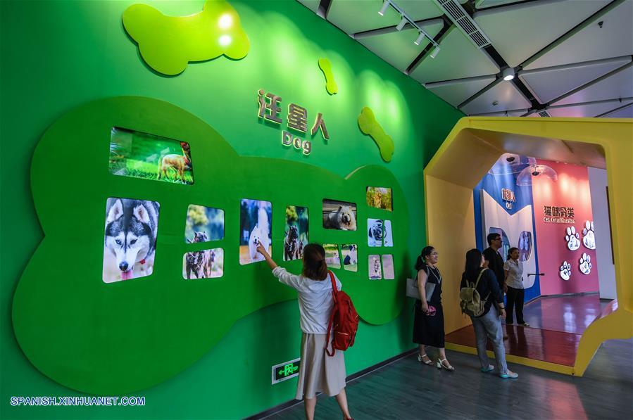 ZHEJIANG, junio 21, 2017 (Xinhua) -- Turistas visitan la "sala de estar de la ciudad mascota", un lugar para presentar la cultura, los conocimientos y los productos relacionados con las mascotas, en el condado de Pingyang de Wenzhou, provincia de Zhejiang, en el este de China, el 21 de junio de 2017. La ciudad mascota de Pingyang es una base multifuncional de la industria de suministro y turismo para mascotas. El condado usado para ser una capital de la industia del cuero y ahora convertido en una capital de la industria de las mascotas después de la modernización industrial. La producción de la industria de las mascotas del condado alcanzó los 3,000 millones de yuanes (aproximadamente 440 millones de dólares estadounidenses) en 2016, incrementándose 15.8 por ciento año con año. (Xinhua/Xu Yu)