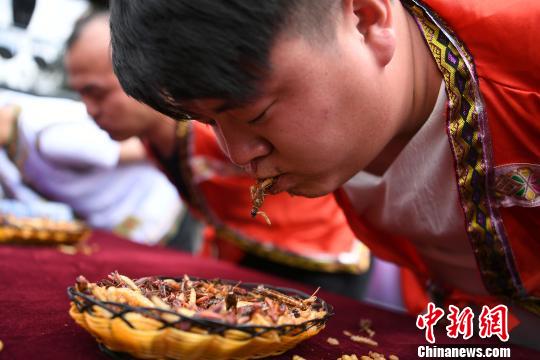 Se celebra competición de comer insectos en Yunnan