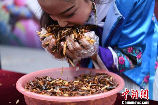 Se celebra competición de comer insectos en Yunnan