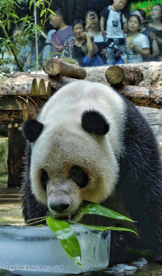 Con "helados" y duchas Zoológico de Beijing ayuda a sus animales a soportar inclemente verano