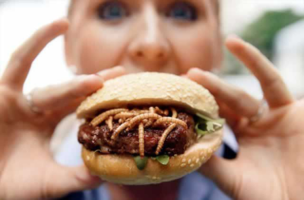 Suiza venderá hamburguesas y albóndigas de insectos en los supermercados