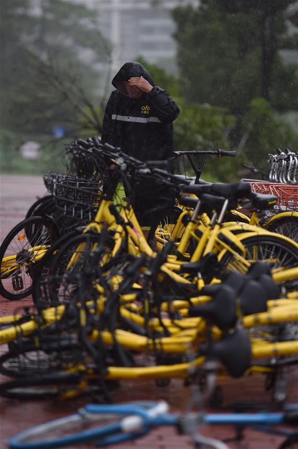 Tifón Pakhar aterriza en sur de China