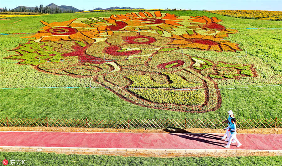 Los famosos girasoles de Van Gogh florecen en Hebei