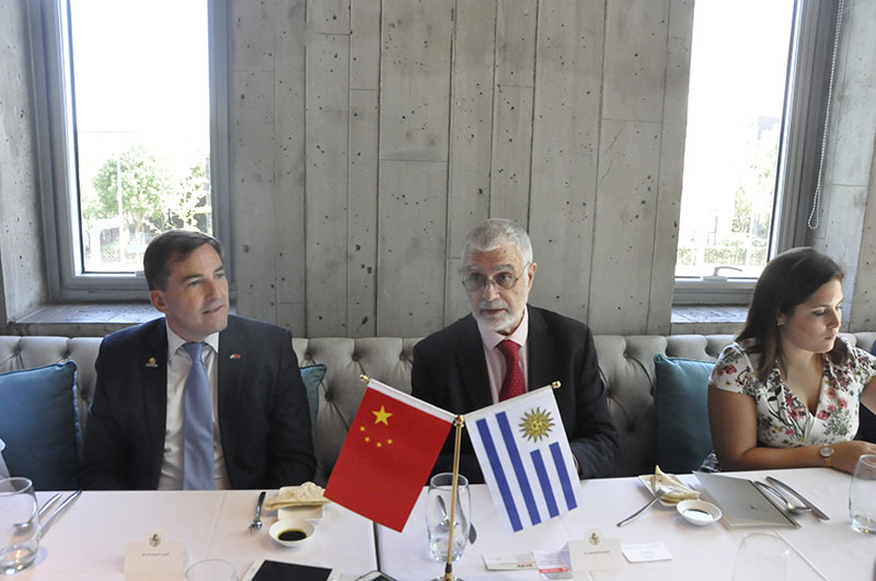 Uruguay, hermoso país que espera ser descubierto por los amigos chinos