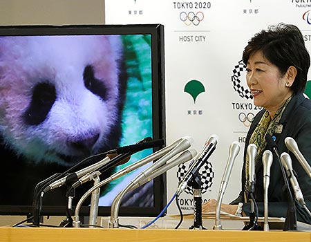 Osezna de panda nacida en zoológico de Tokio recibe nombre de Xiang Xiang