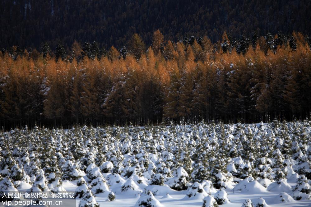 Impresionante paisaje nevado de "encendidas llamaradas" en Xinjiang