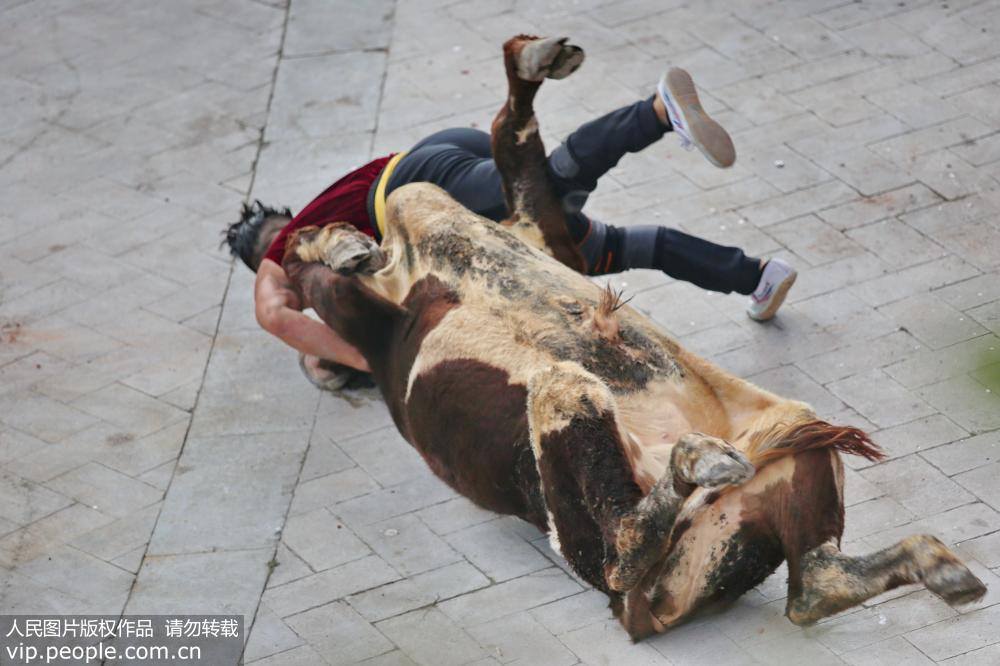 Comienza el festival del toreo en Zhejiang