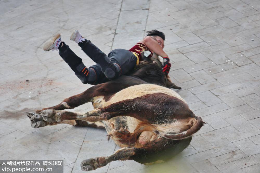 Comienza el festival del toreo en Zhejiang