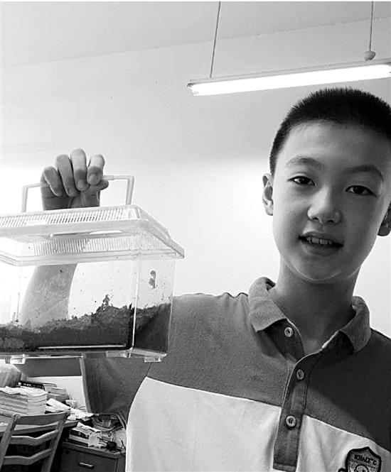 Un niño chino se especializa en la crianza de caracoles