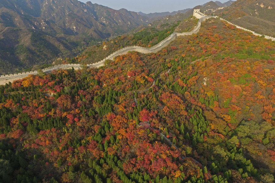 La Gran Muralla de Badaling se colorea de otoño