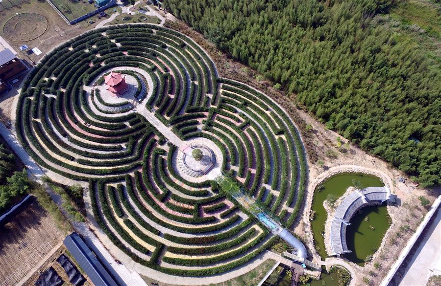 Fujian abraza la agricultura urbana y ecológica de alto valor estético