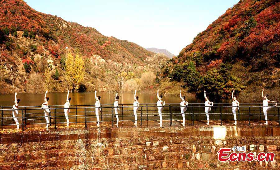 Practicantes de yoga se fusionan con el otoño chino