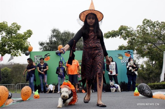 Se celebra desfile de Halloween para mascotas en Perú