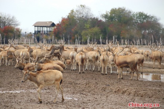 La reserva natural de milus más grande del mundo