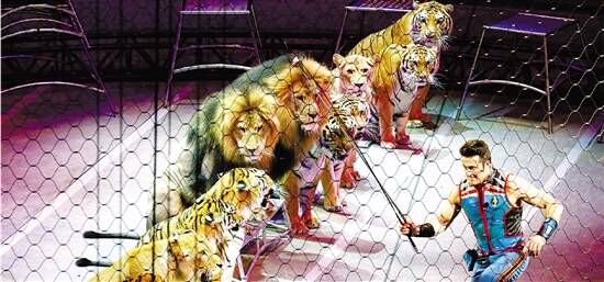 Festival de Circo de China cancela espectáculos de animales por creciente conciencia pública