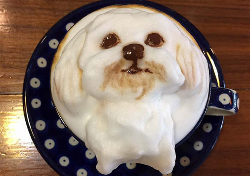 Un ejemplo creativo de “arte del café” dibuja con espuma la cara de un perro. [Foto: IC]