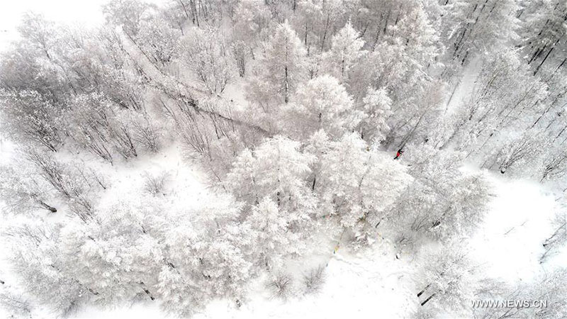 Paisaje de invierno en el sitio turístico Bailanggang, en Arxan, Región Autónoma de Mongolia Interior, China, 9 de enero del 2018. [Foto: Xinhua]