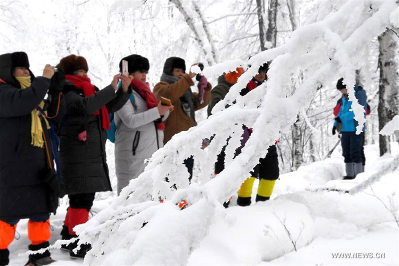 Bosque de nieve y escarcha atrae turistas en Mongolia Interior