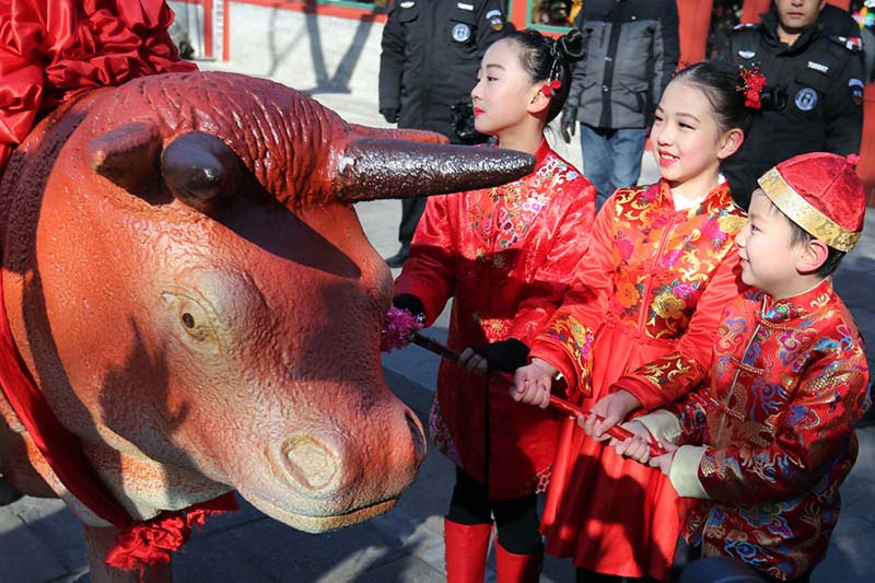 Los niños azotan figuras de bueyes en el Observatorio Antiguo en Beijing para celebrar el periodo del calendario lunar Comienzo de la Primavera, que comenzó el domingo. [Foto de Wang Zhuangfei / chinadaily.com.cn]