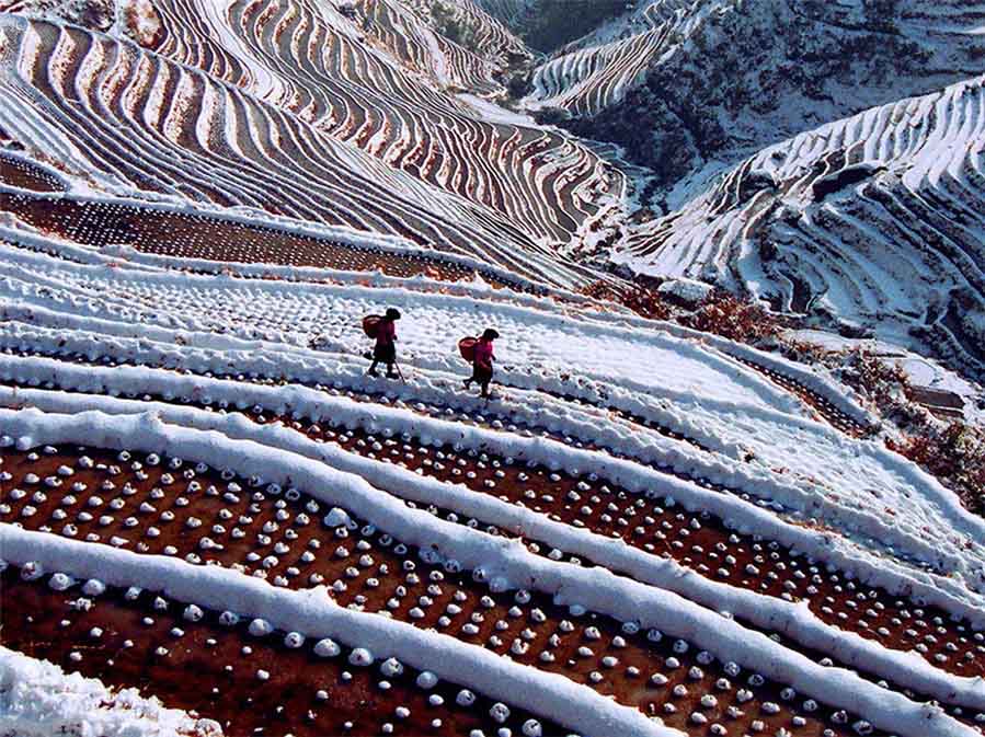 Caminando sobre un campo cubierto de nieve, tomada por Fan Xintian. [Foto proporcionada por photoint.net]