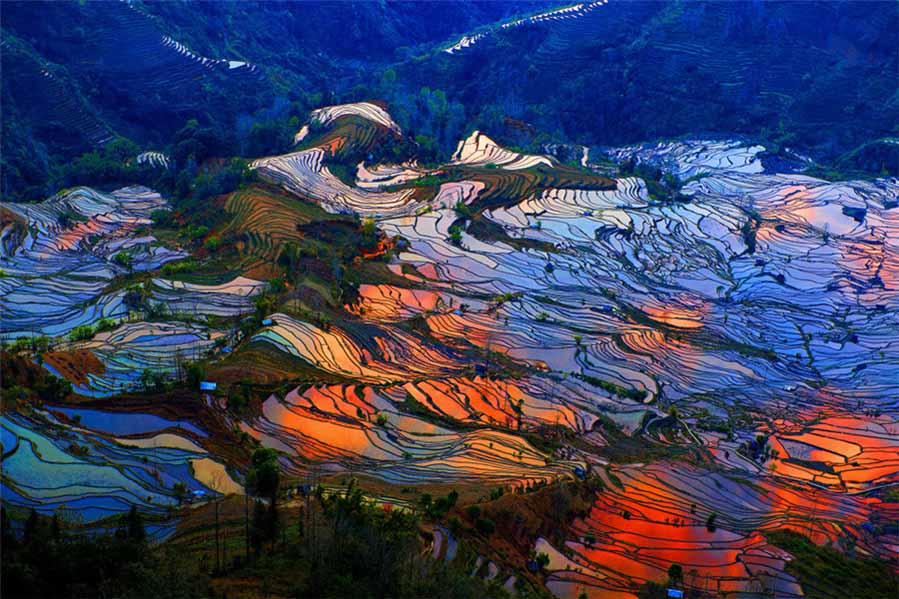Espléndidos terrenos escalonados, tomada por Li Peixiang. [Foto proporcionada por photoint.net]