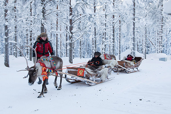 Turistas chinos montan trineos de alce en un pequeño bosque de Finlandia. [Foto: proporcionada] 